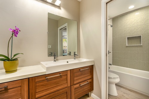 Guest bathroom